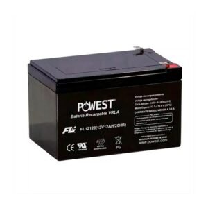 BATERIA PLOMO CARBONO 12V-100AH