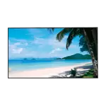 Monitor 4K 55" Retroiluminación LED con Ángulo de Visión 178°